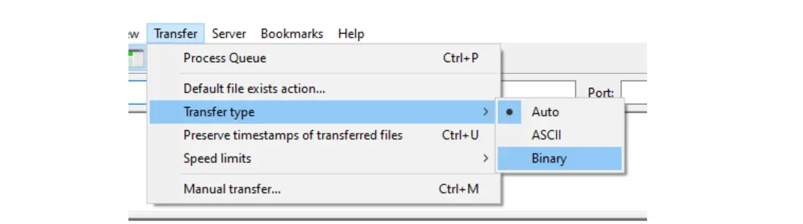 FileZilla set binary mode